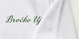 Preview print sprijeda